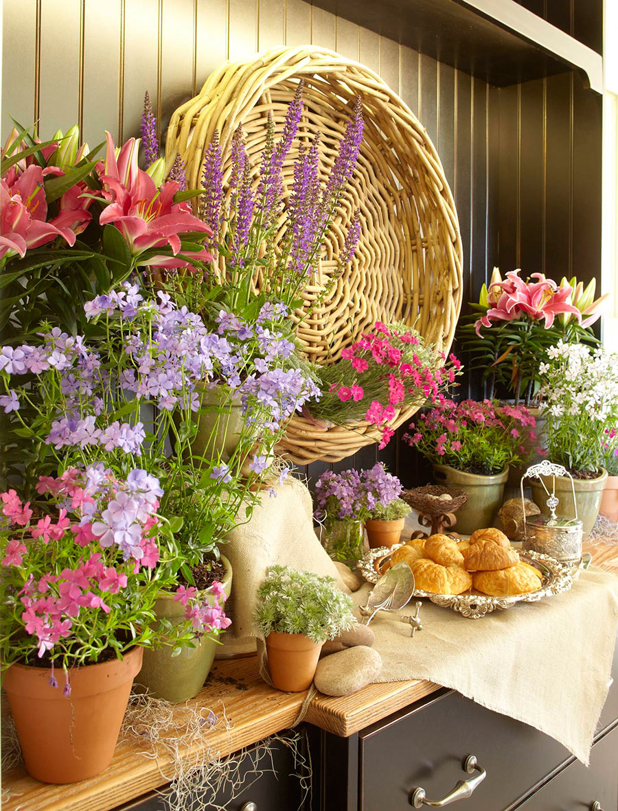 Decorate Your Home with Perennial Flowers