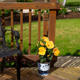 Tropical Hibiscus Ninos Yellow | medium