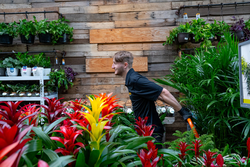 Stay Active, Stay Inspired