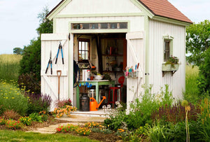 What Horticulturists Say You Should Never Store in a Shed