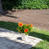 Tropical Hibiscus Apollo Garden | medium