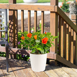 Tropical Hibiscus Constellation Andromeda | medium