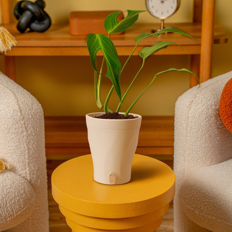 Twist.Lift.Water. Pot