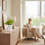 Variegated Kaempferia | medium