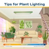 Tropical Hibiscus Constellation Andromeda | medium