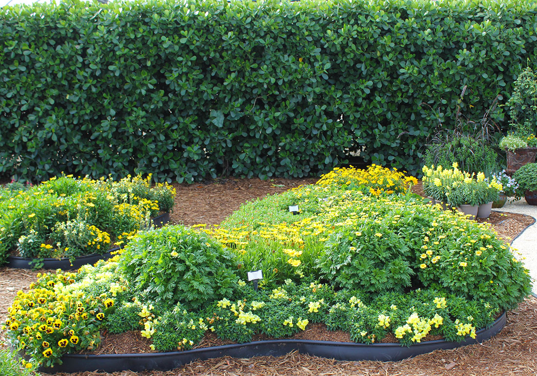 Start Spring Off Colorfully