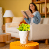 Pothos Neon Joy | medium