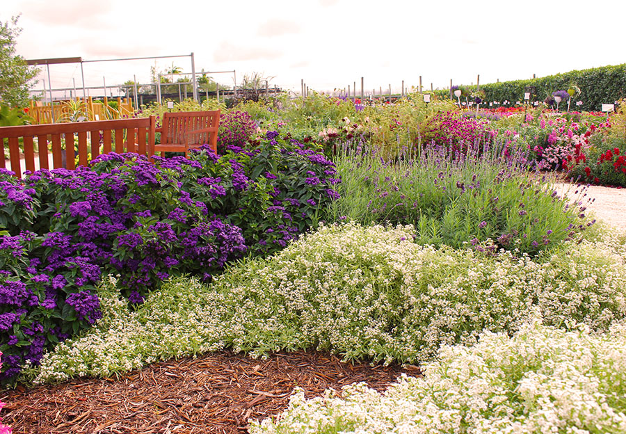 Small Space Fragrance Garden Ideas