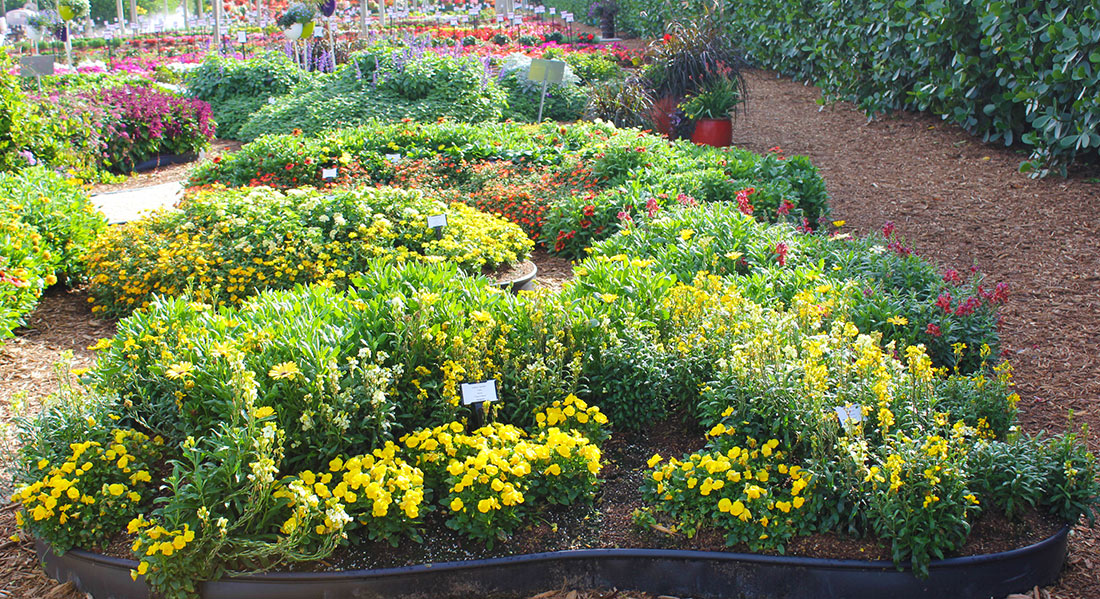 Sweet Color for Small Spaces