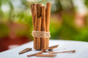 Does Cinnamon Really Protect Plants from Fungus? Here’s the Answer