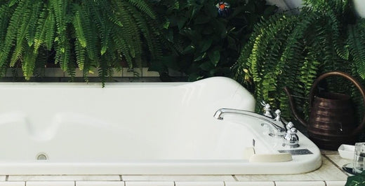 Perfect Plants for Bathrooms