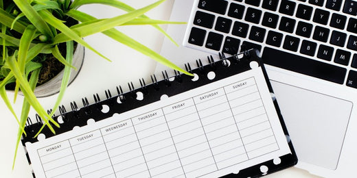 Plants for Busy People