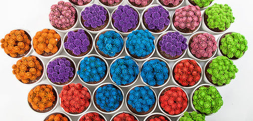 6 Sensational Houseplants that Add Color to Your Home