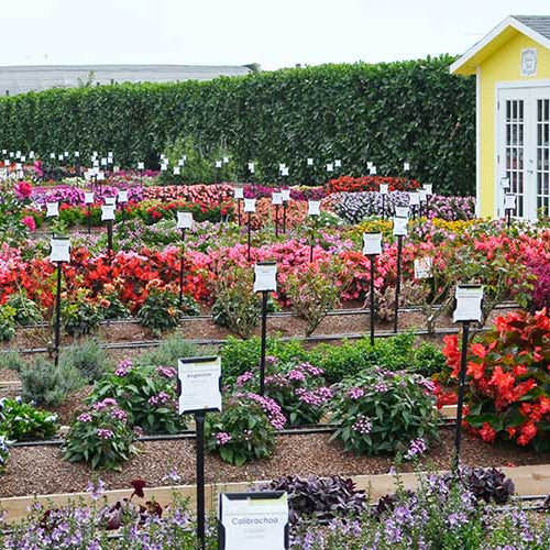 Visit Our Trial Garden!