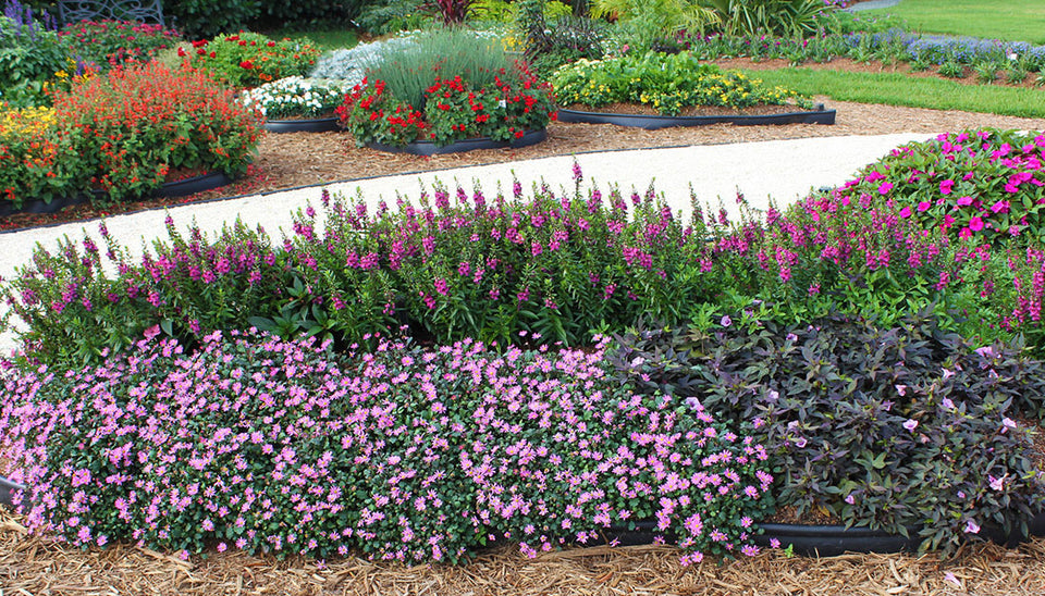 Pink Garden Ideas
