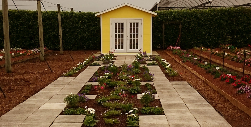 Costa Farms Trial Garden Winter Open House