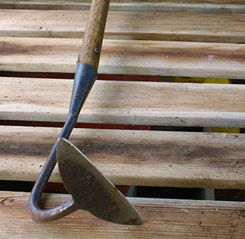 4 Ways to Keep Your Garden Weed Free