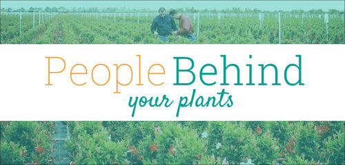 My Costa Farms Internship