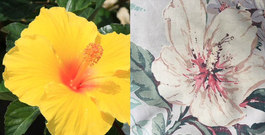 Tropical Plants and Vintage Style