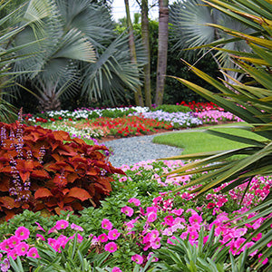 Landscape Design Tips from the Costa Farms Trial Garden