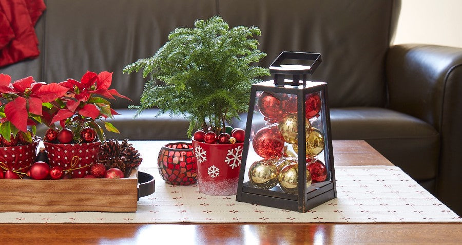 Holiday Gifts that Last All Year