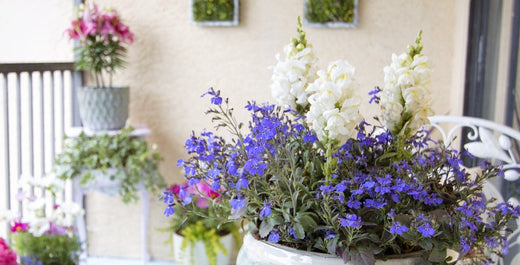 Pastel Flowers for Romantic Porches