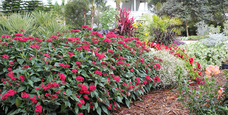 Visit Our Open House!