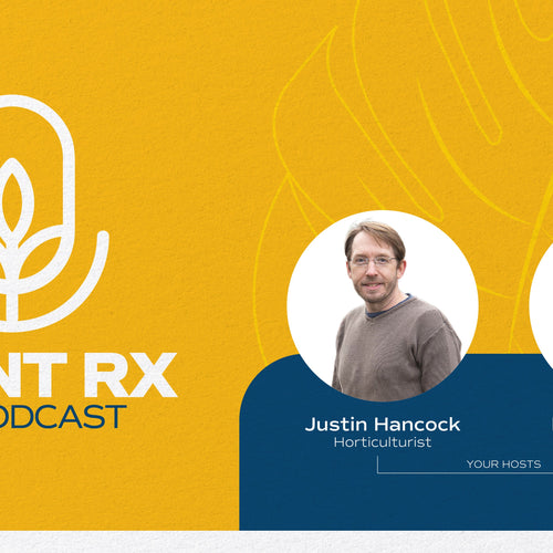 Plant Rx Houseplant Podcast