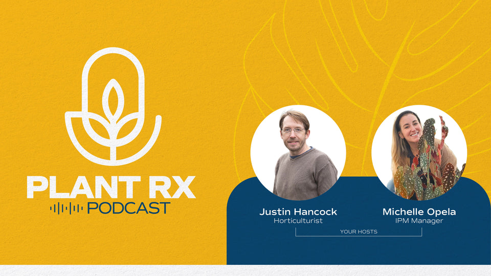 Plant Rx Houseplant Podcast