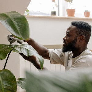 Person inspecting a plant with a magnifying glass, demonstrating the process of checking for spider mites or other plant pests.