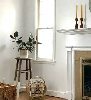 10 Ways to Keep Your Houseplants Happy in Winter