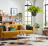 Pothos Goldrush  | medium