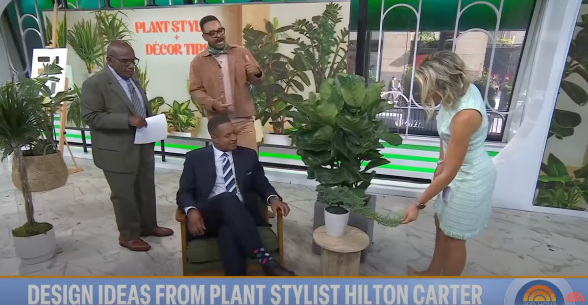 Costa Farms On the Today Show
