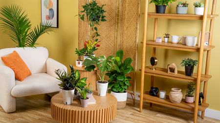 All Thumbs Are Green